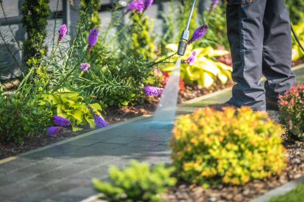 Best Pre-Holiday Cleaning  in Avis, PA
