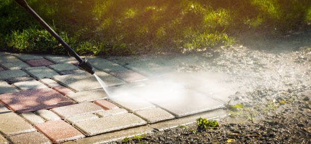 Best Building Exterior Washing  in Avis, PA